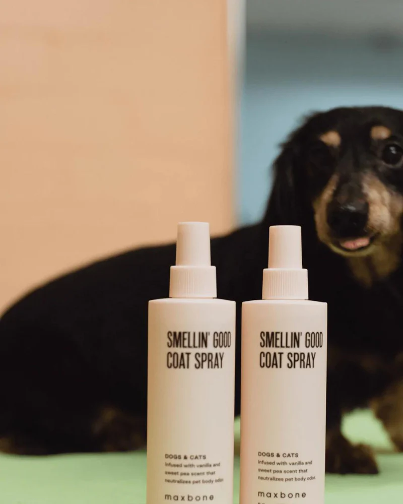 Smelling’ Good Coat Spray for Dogs & Cats - Image 5
