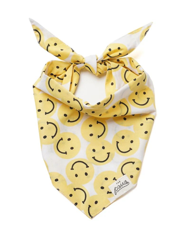 Smile Dog Bandana - Image 3