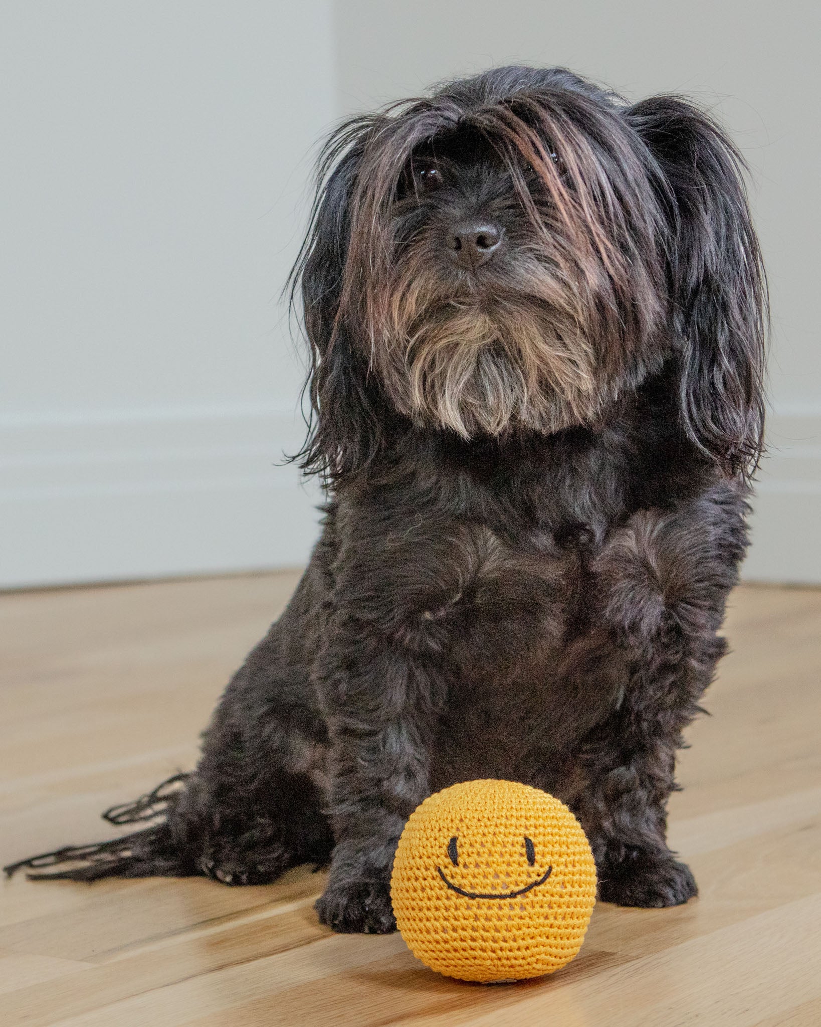 Smiley Face Dog Knit Squeaker Toy in Yellow