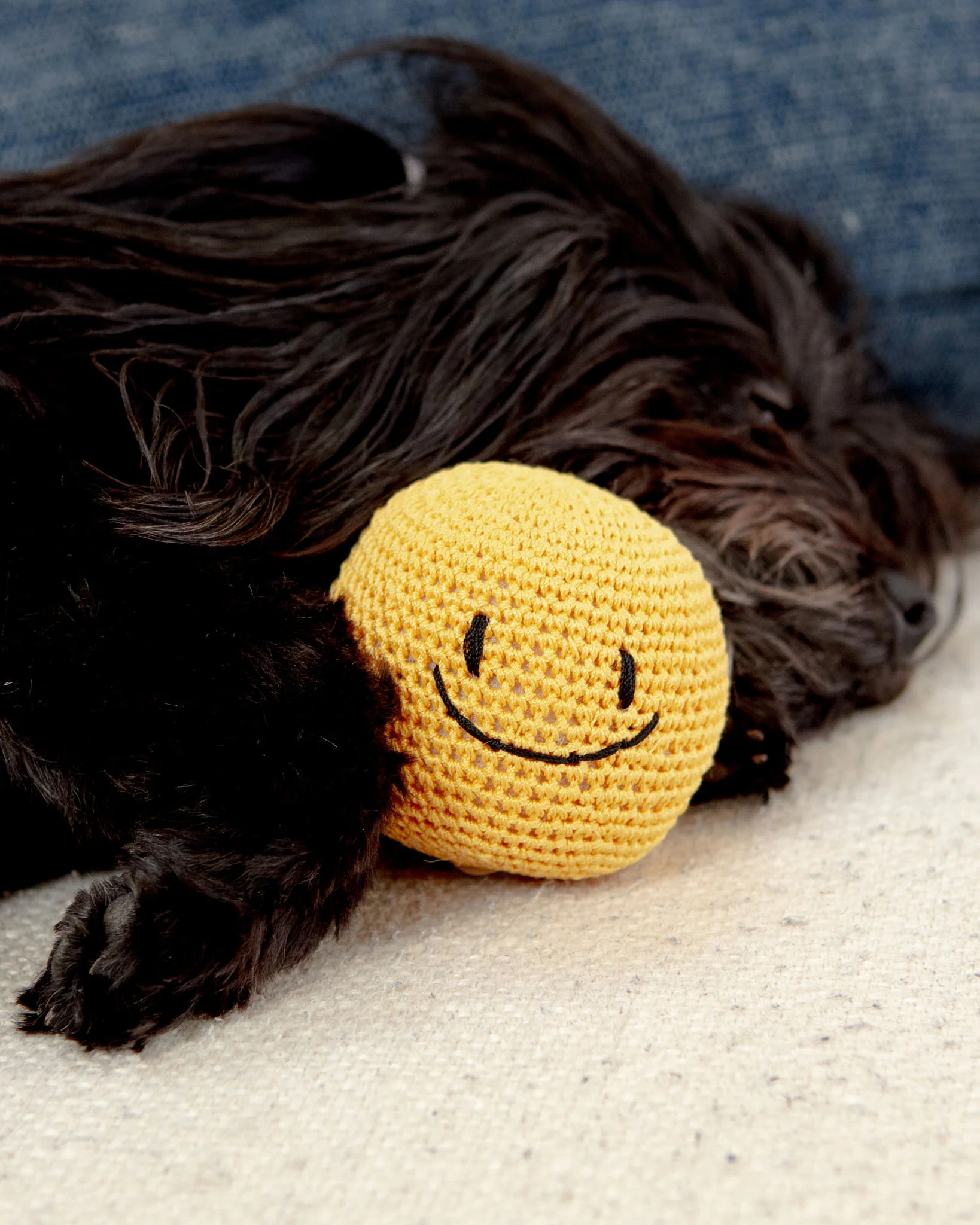 Smiley Face Dog Knit Squeaker Toy in Yellow - Image 2
