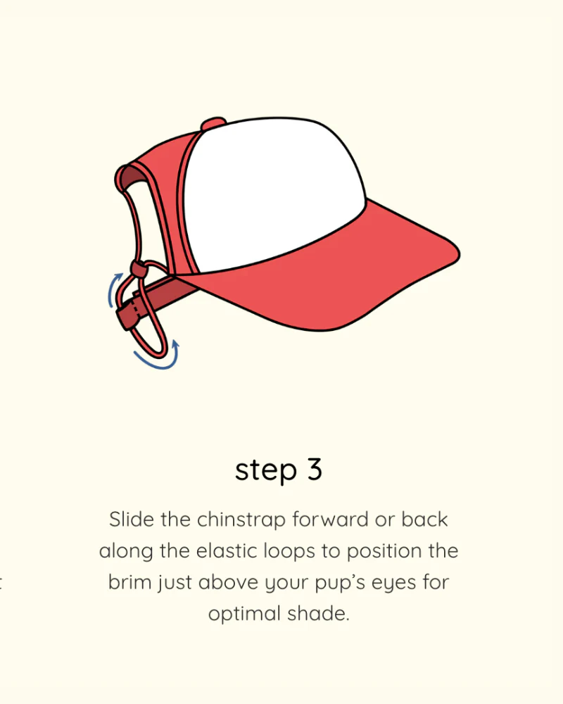 Brooklyn Varsity Pet Trucker Hat - Image 6