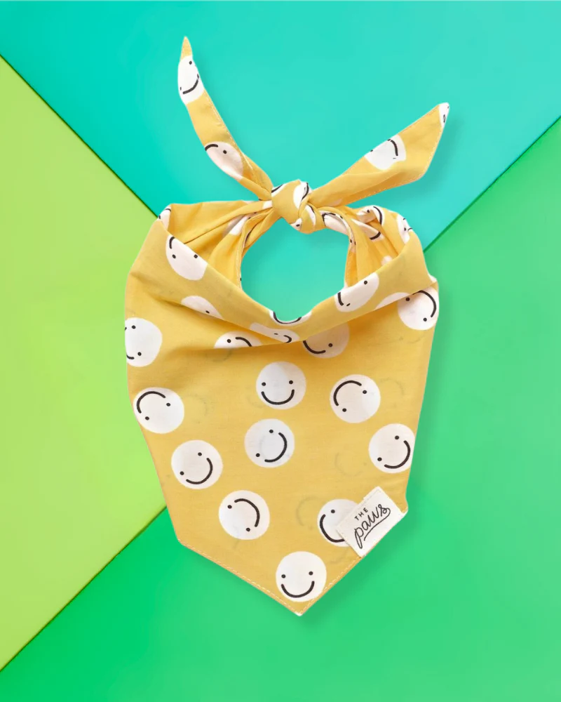 Smiley Friends Dog Bandana (FINAL SALE)