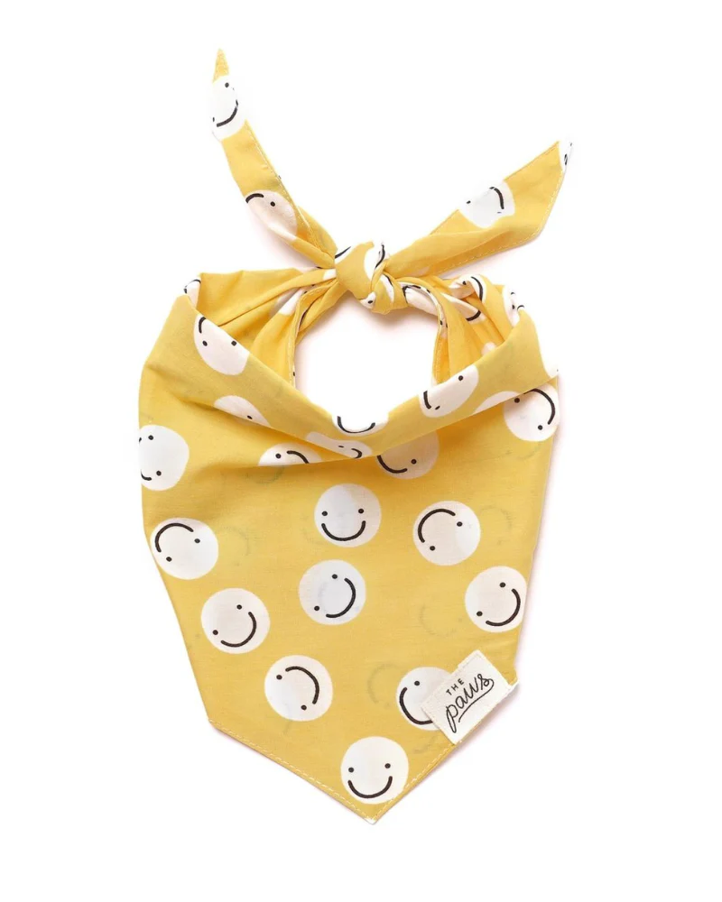 Smiley Friends Dog Bandana (FINAL SALE) - Image 6