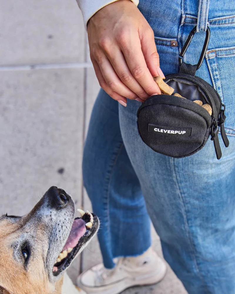Snackpack Double Dog Treat Pouch - Image 8