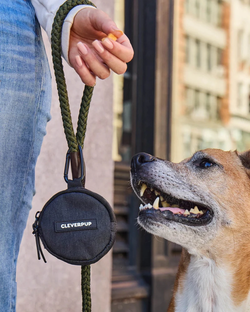 Snackpack Double Dog Treat Pouch - Image 9