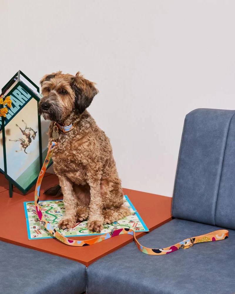Snakes & Ladders Leather Dog Leash - Image 4