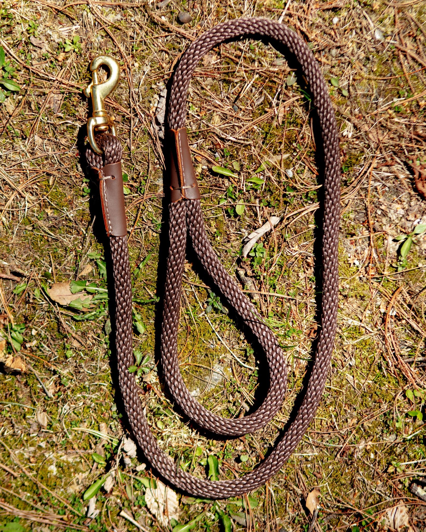 Snap Leash in Dark Brown (Made in the USA)