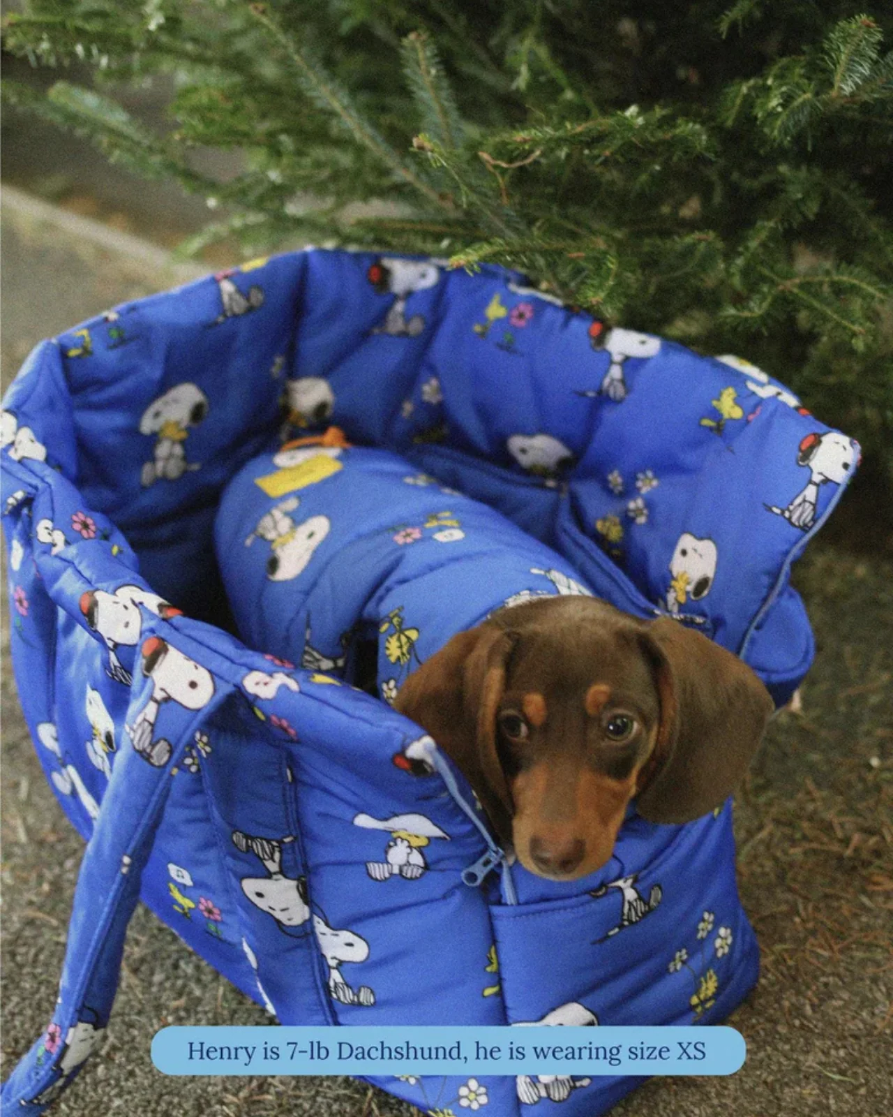 Snoopy and Woodstock Dog Puffer Jacket - Image 2