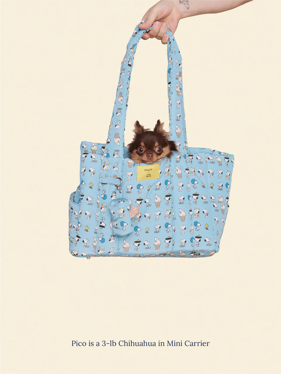 Snoopy Chillin Dog Carrier - Image 2