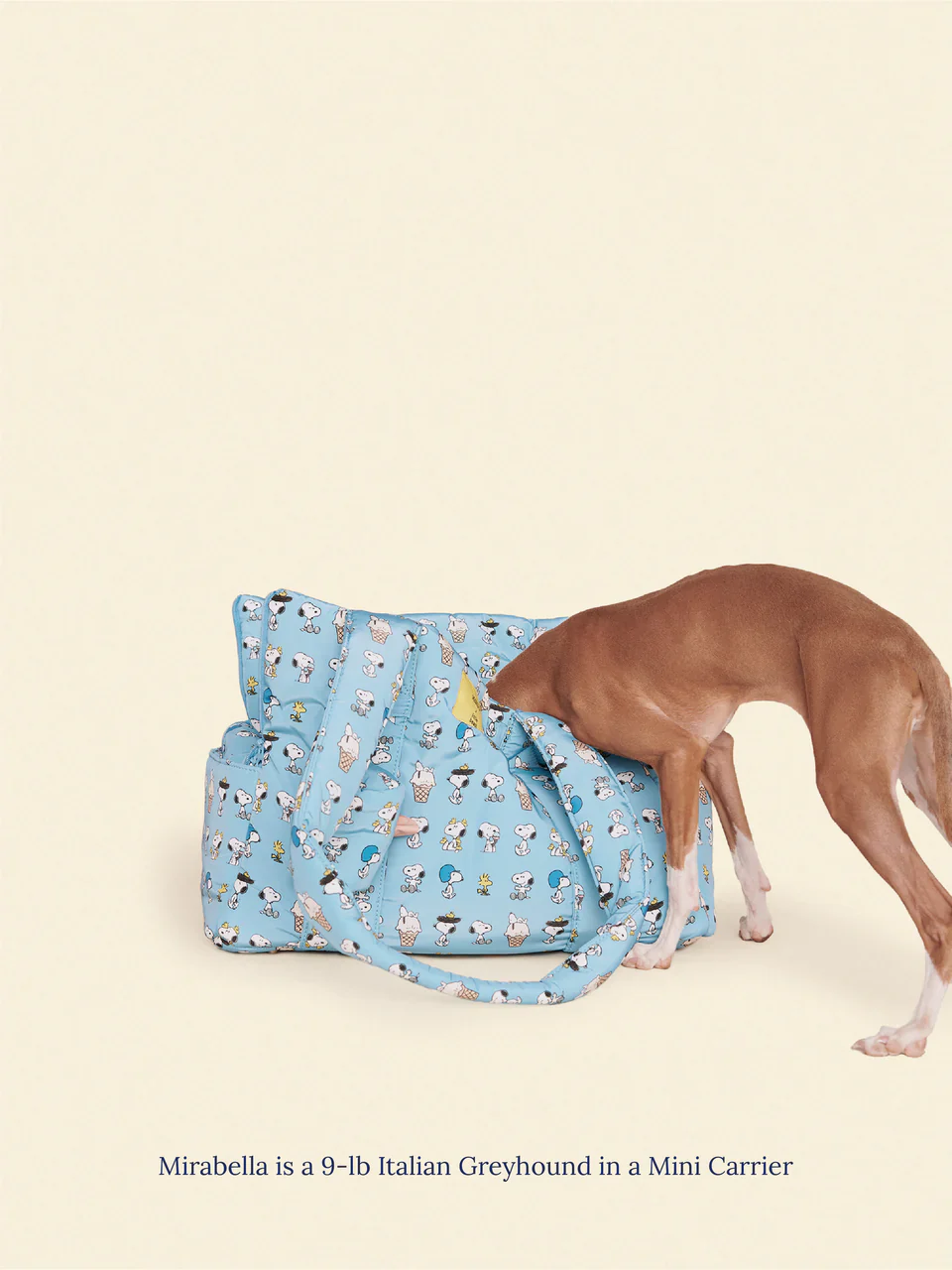 Snoopy Chillin Dog Carrier - Image 3