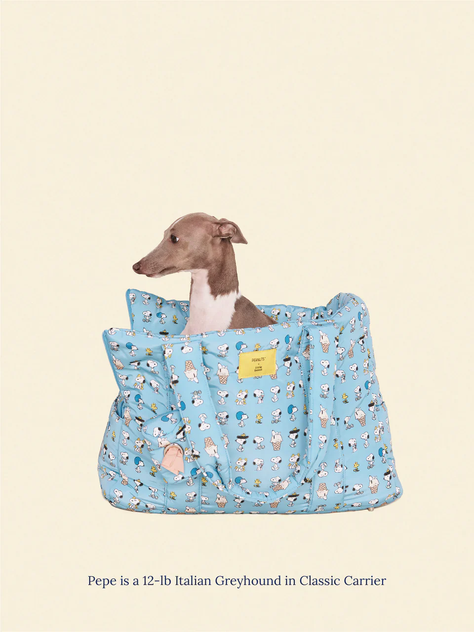 Snoopy Chillin Dog Carrier - Image 4