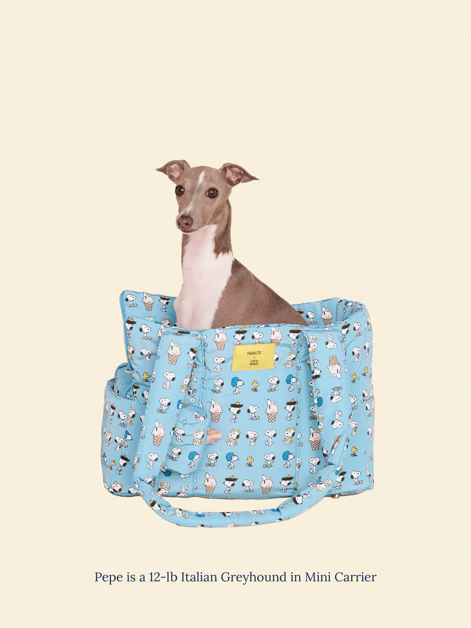 Snoopy Chillin Dog Carrier - Image 5