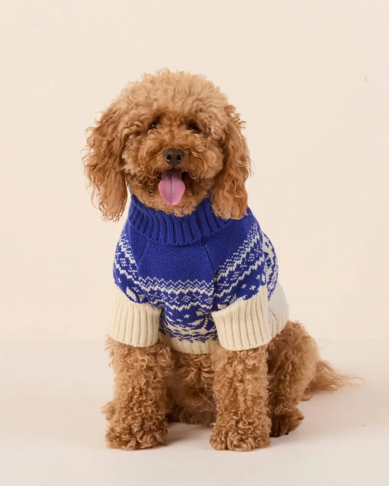 Snow Day Fair Isle Dog Sweater - Image 2