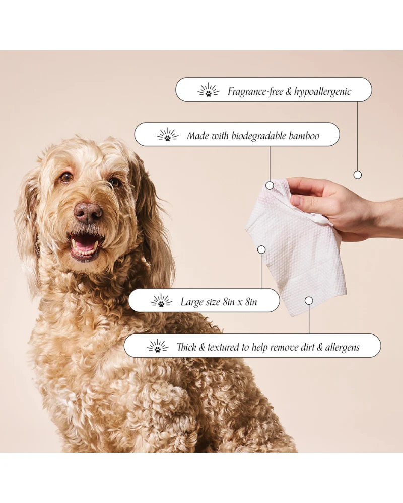 So Fresh, So Clean Prebiotic Dog Wipes - Image 3
