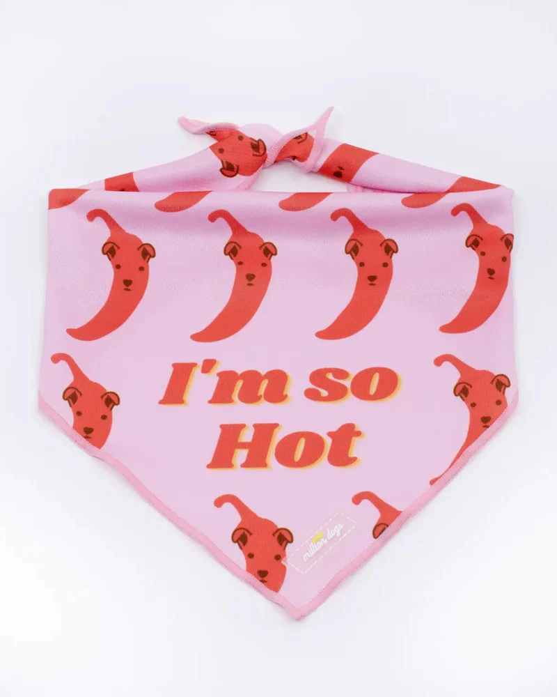 So Hot Cooling Dog Bandana (Made in the USA) (CLEARANCE) - Image 2