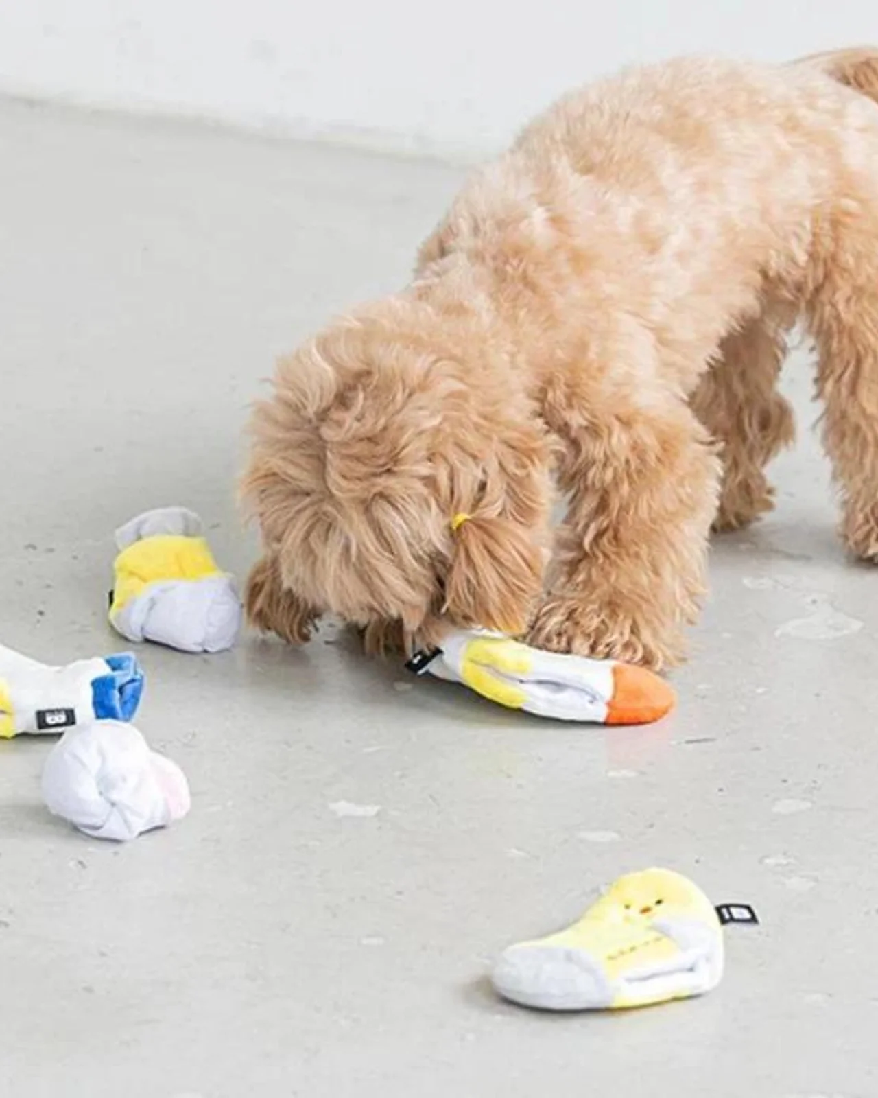 Sock Nosework Plush Dog Toy Set - Image 4