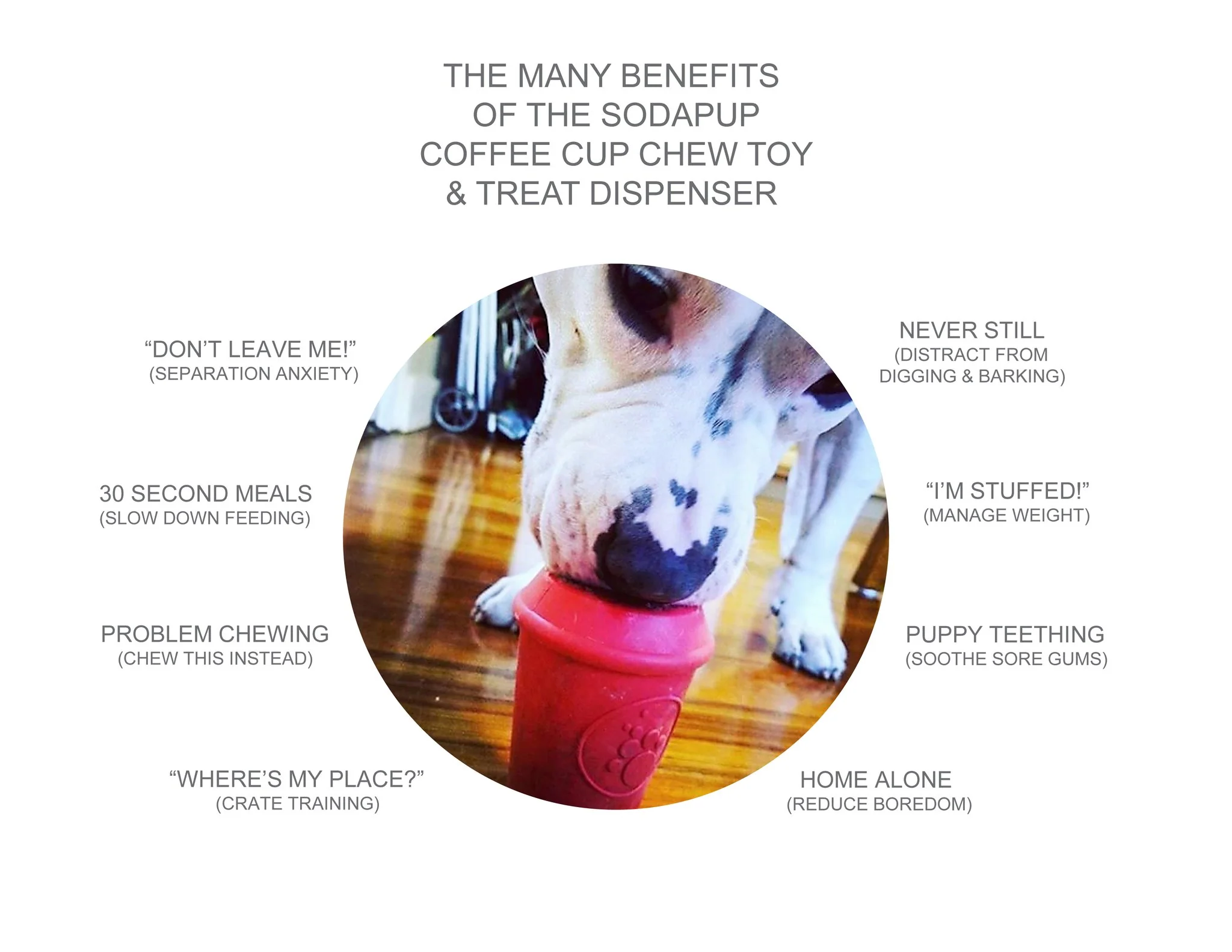 Durable Coffee Cup Toy in Red (Medium) - Image 5