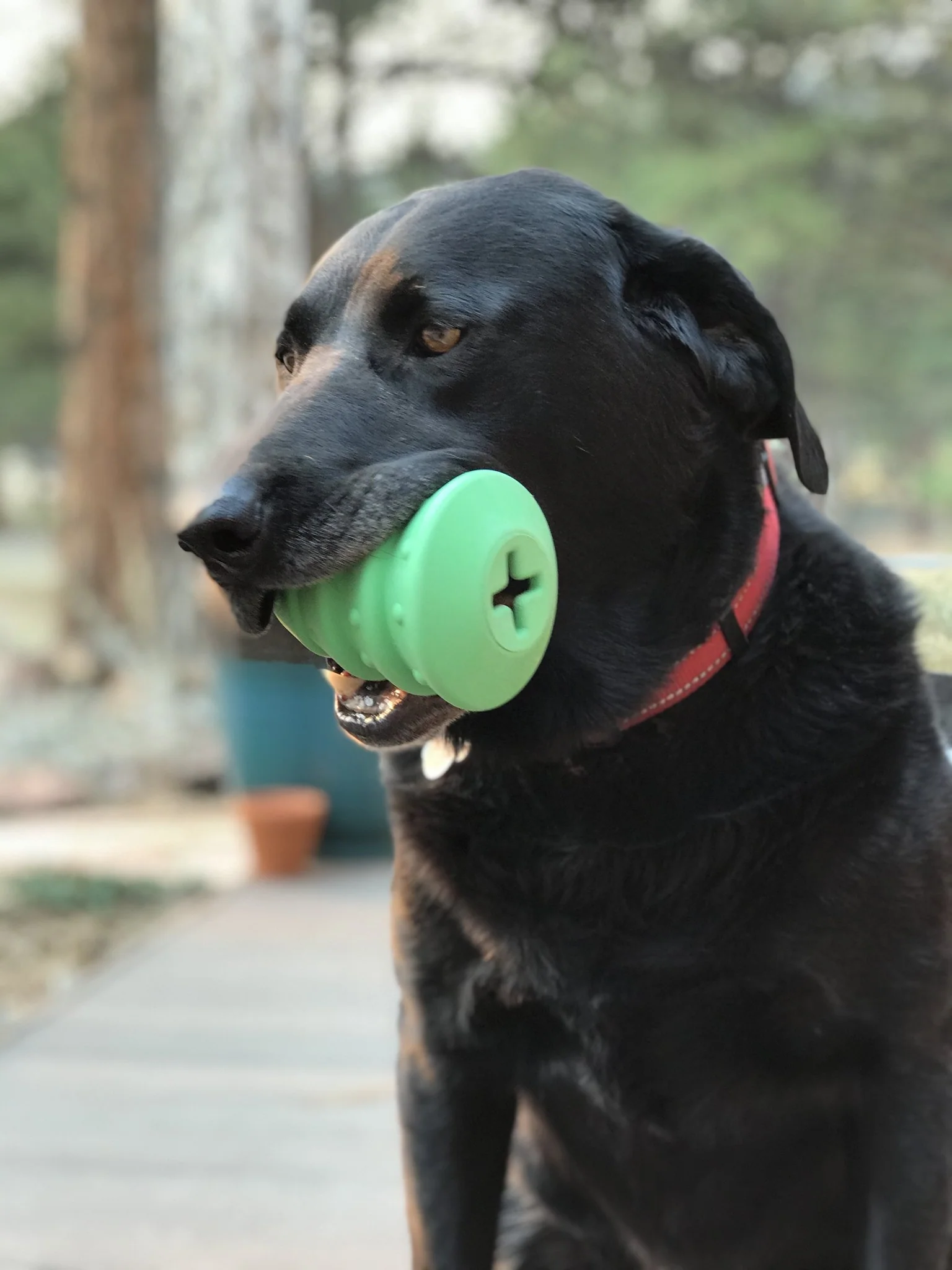Durable Rubber Christmas Tree Chew Toy & Dog Treat Dispenser - Image 2