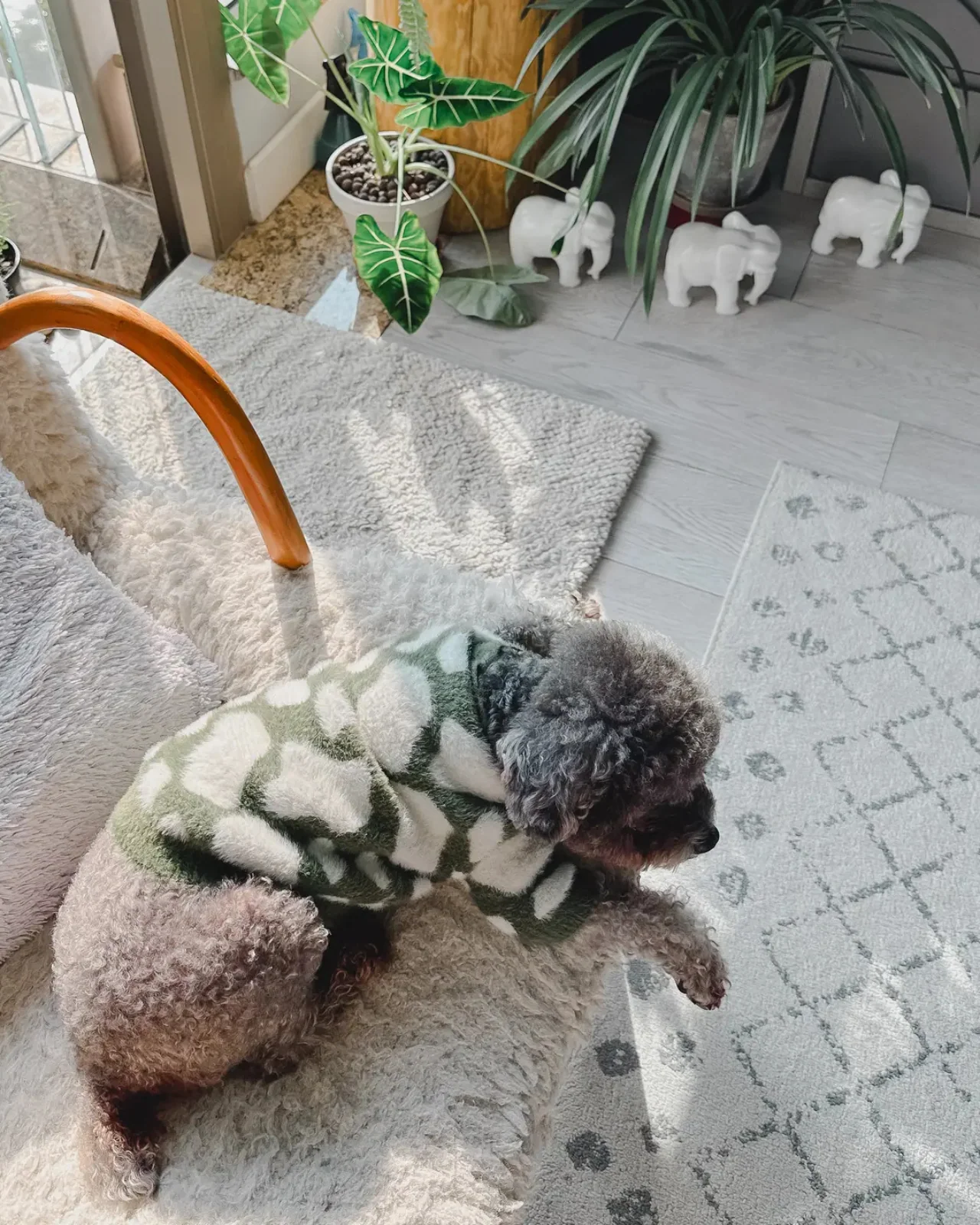 Soft Cloud Pet Sweater (FINAL SALE) - Image 3