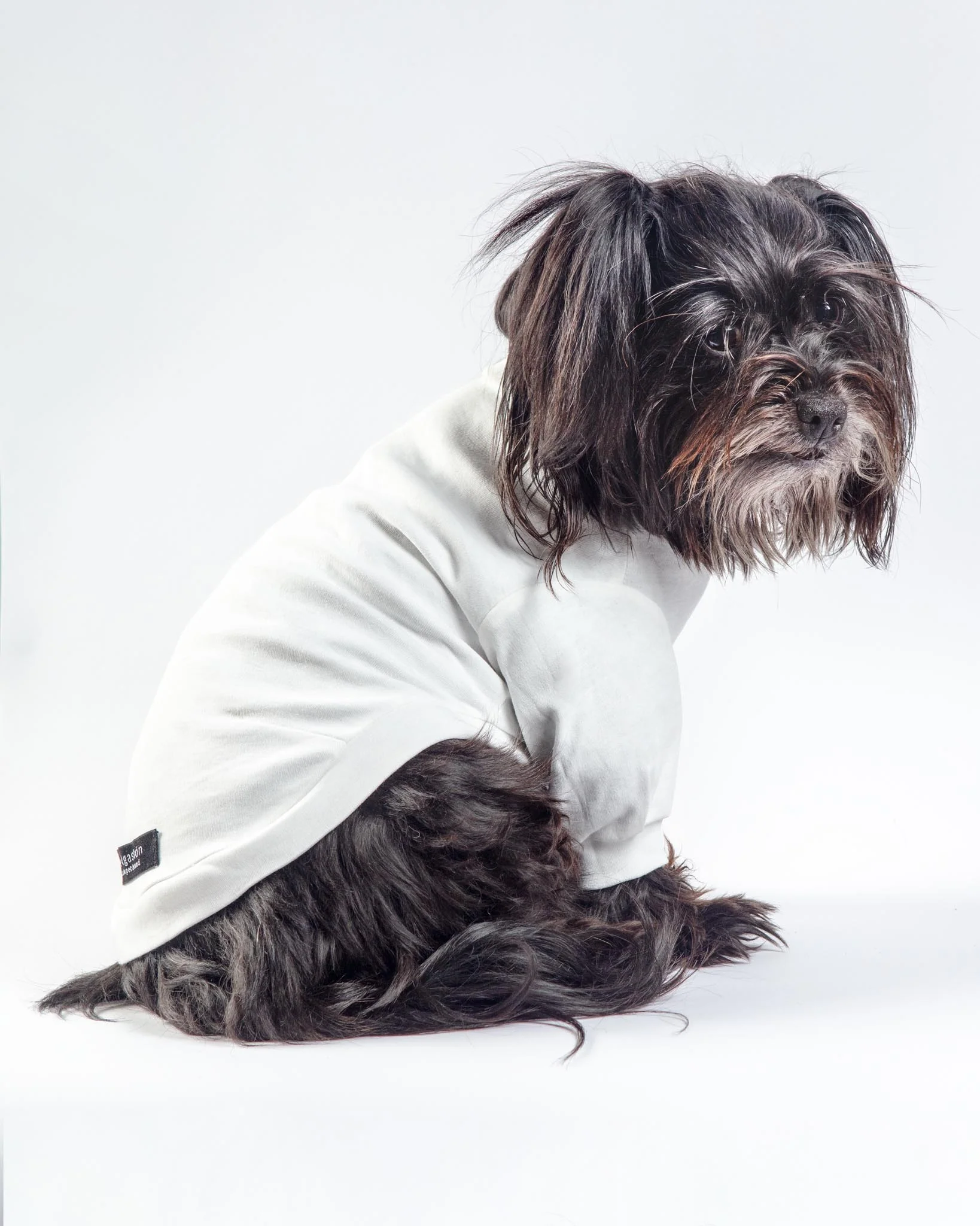 Soft Cotton Bubble Sleeve Dog Shirt (FINAL SALE) - Image 2