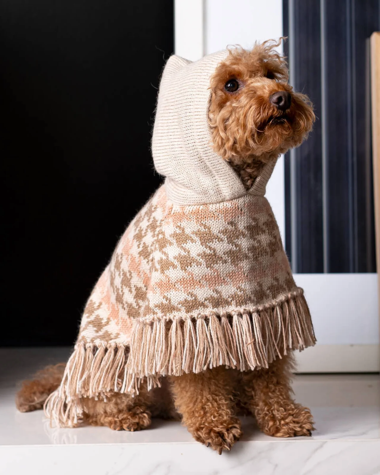 Soft Houndstone Alpaca Dog Poncho - Image 2