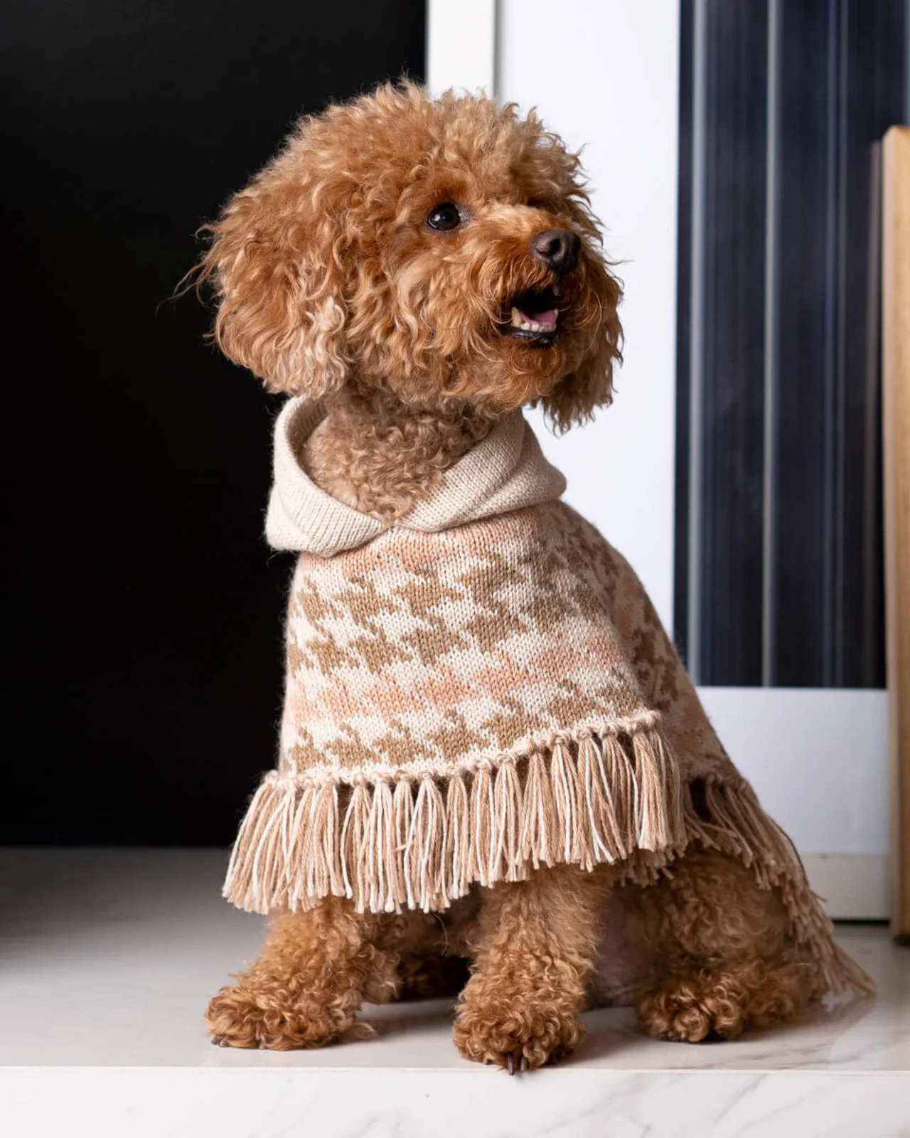 Soft Houndstone Alpaca Dog Poncho - Image 3