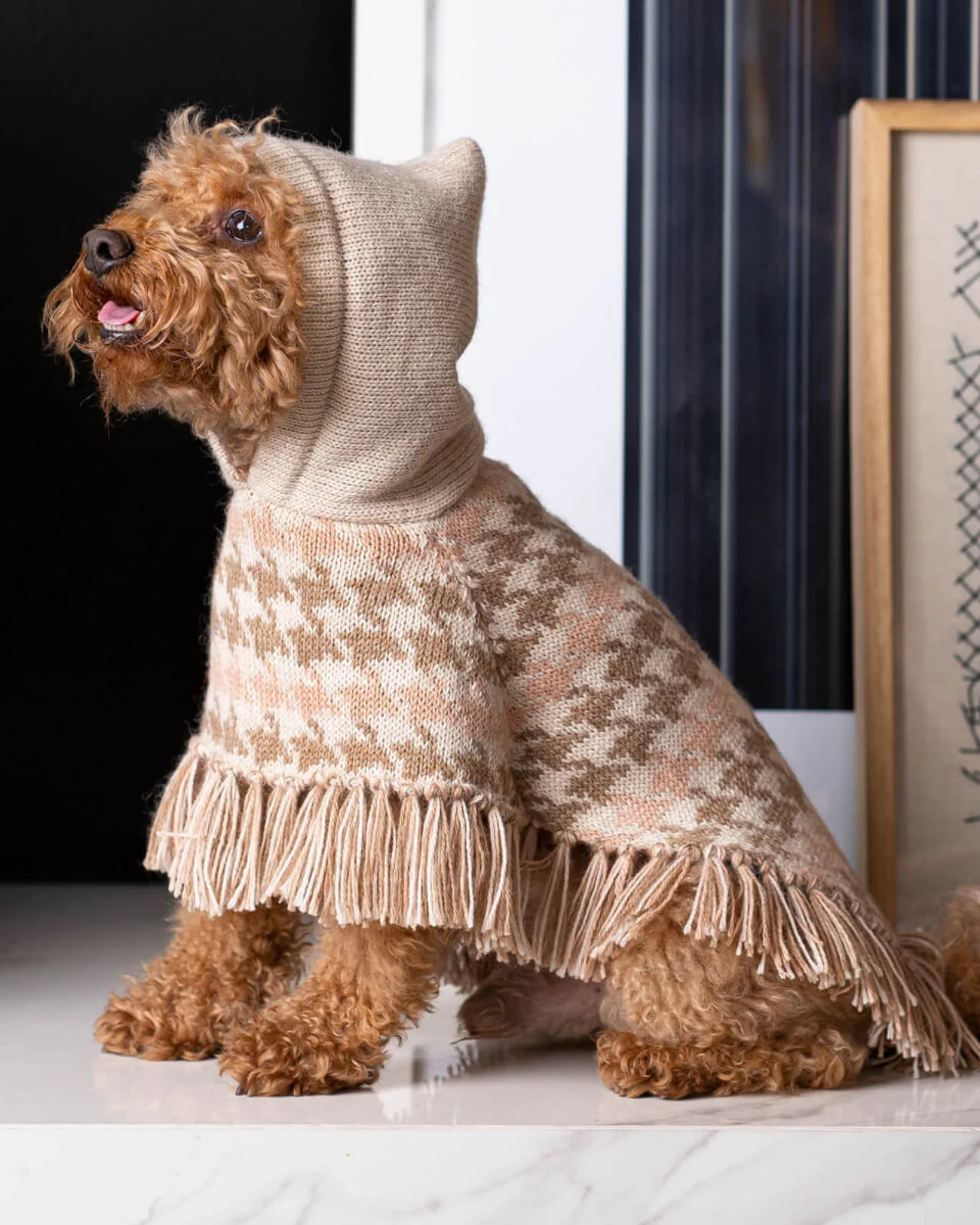 Soft Houndstone Alpaca Dog Poncho - Image 4