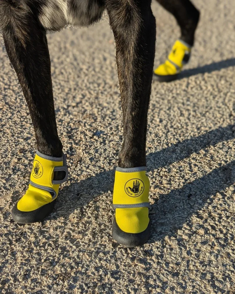 Soft Neoprene Paw Protector Booties - Image 2