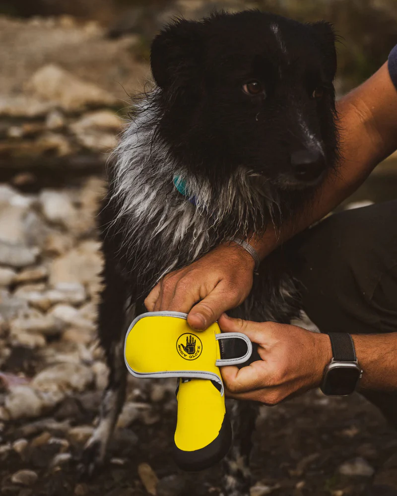 Soft Neoprene Paw Protector Booties - Image 7