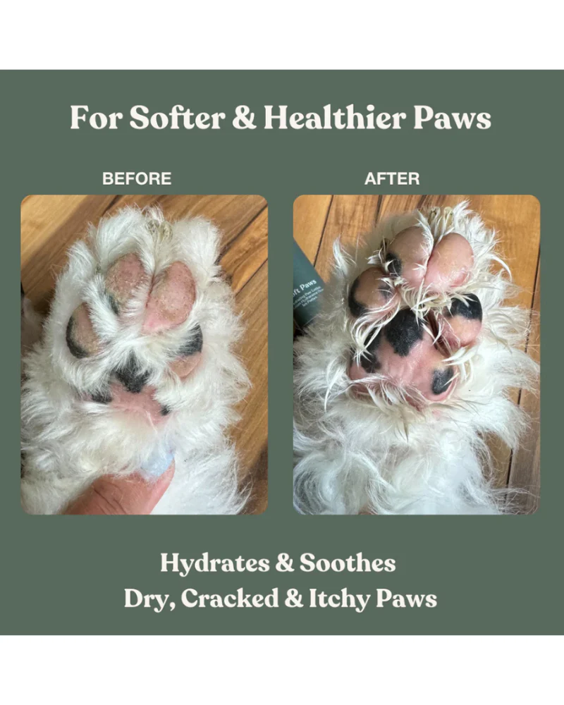 Soft Paws Hydrating Paw Lotion - Image 4