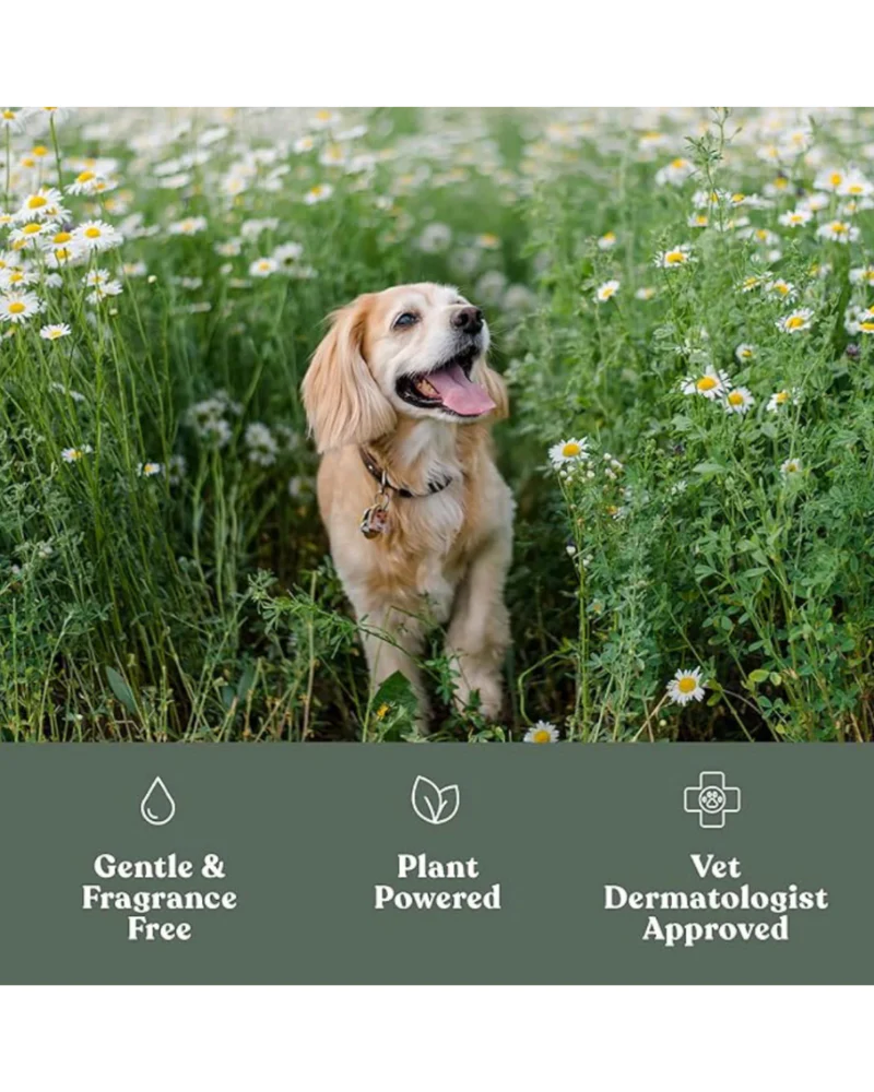 Soft Paws Hydrating Paw Lotion - Image 8