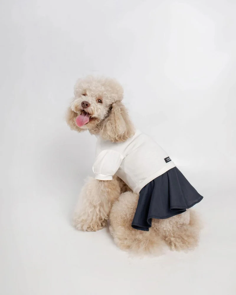 Soft Dog Dress in White & Navy (FINAL SALE) - Image 3