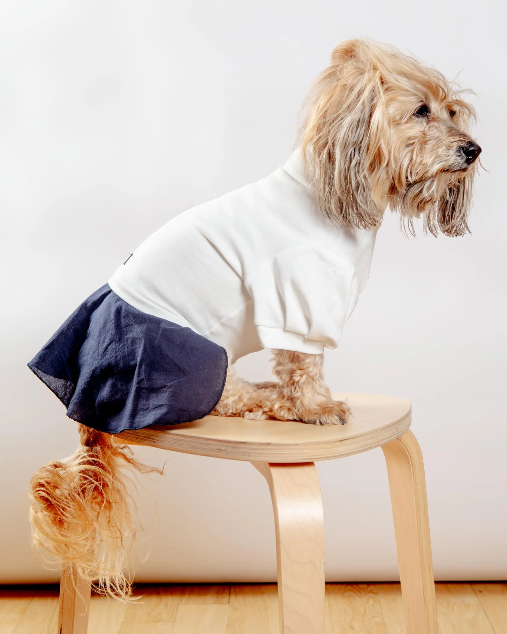 Soft Dog Dress in White & Navy (FINAL SALE) - Image 4