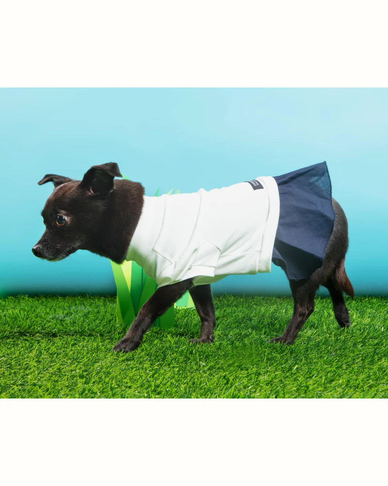 Soft Dog Dress in White & Navy (FINAL SALE) - Image 7