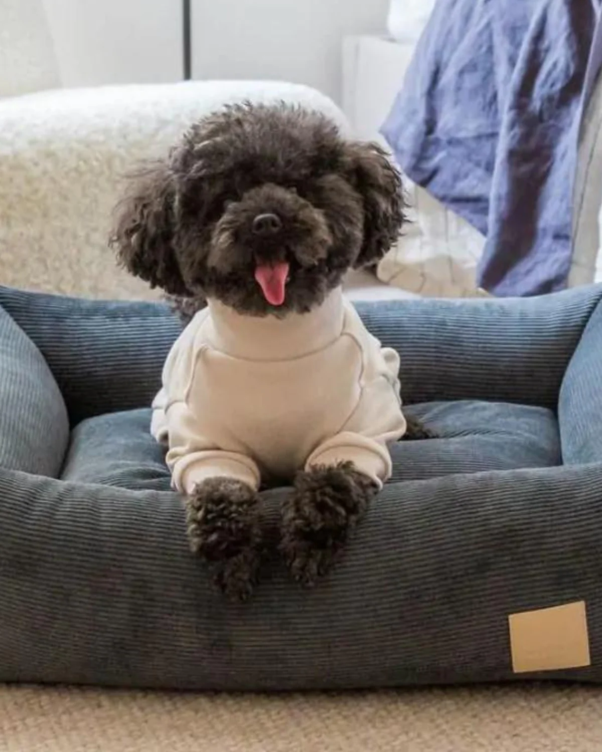 Soft Touch Dog Onesie in Sandstone or Myrtle Green (FINAL SALE)