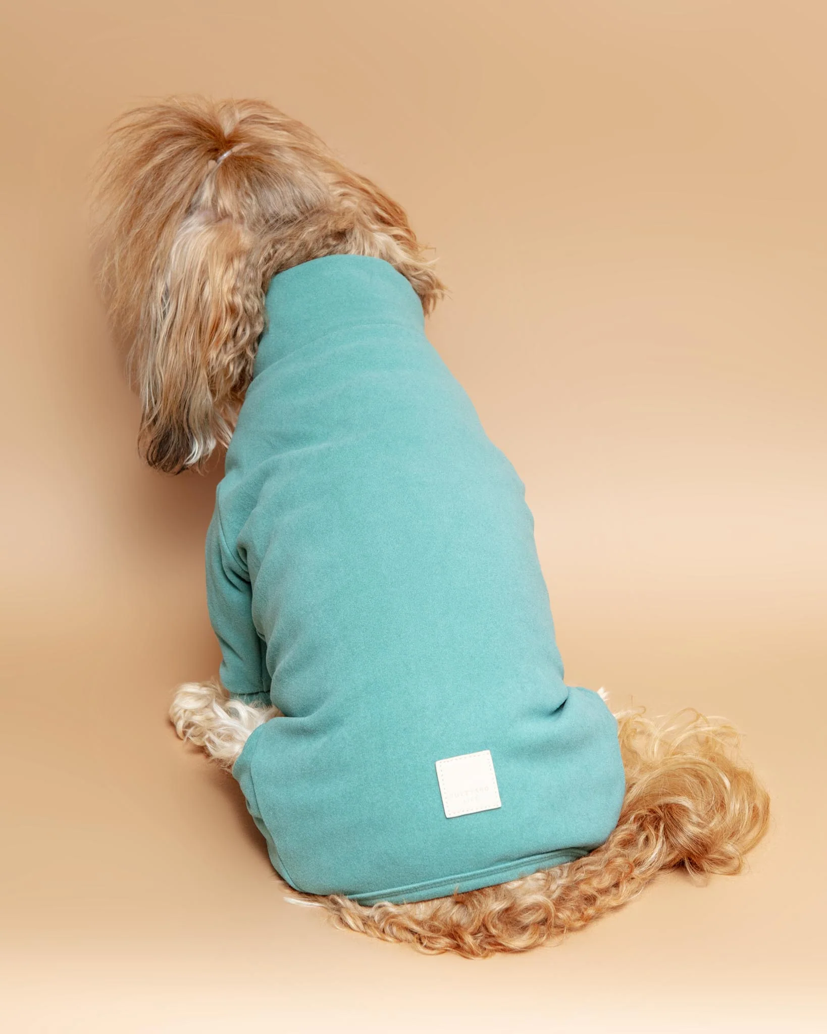 Soft Touch Dog Onesie in Sandstone or Myrtle Green (FINAL SALE) - Image 11
