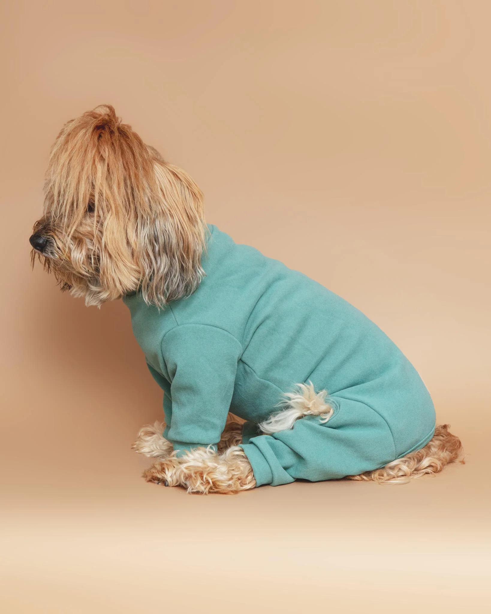 Soft Touch Dog Onesie in Sandstone or Myrtle Green (FINAL SALE) - Image 12