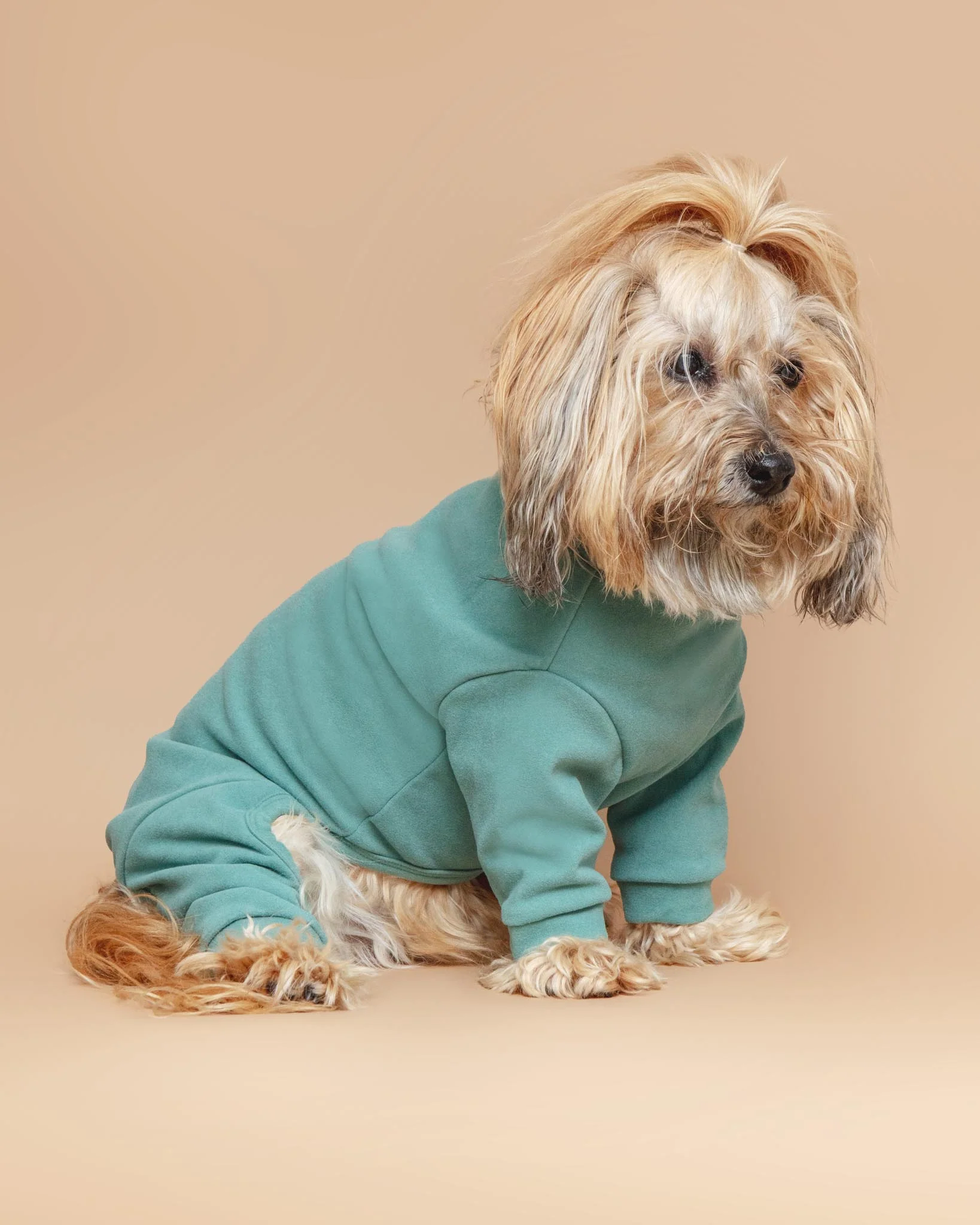 Soft Touch Dog Onesie in Sandstone or Myrtle Green (FINAL SALE) - Image 2