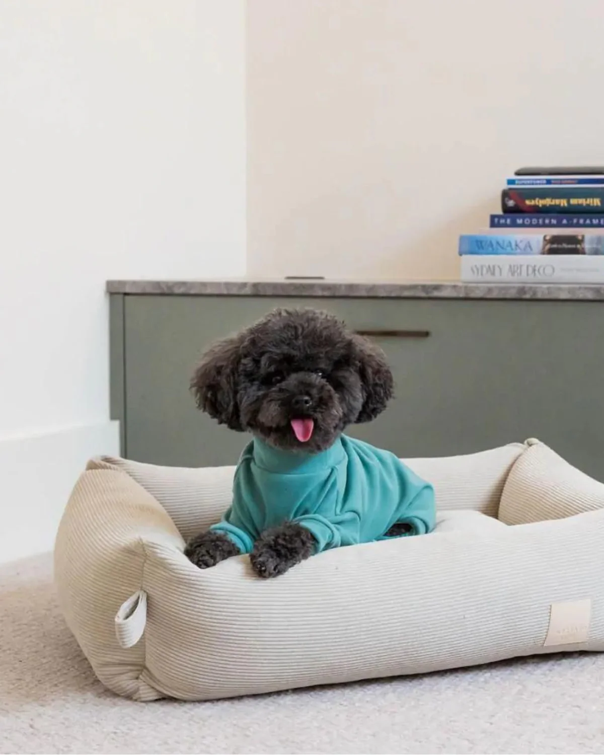 Soft Touch Dog Onesie in Sandstone or Myrtle Green (FINAL SALE) - Image 3