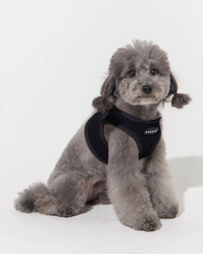 Soft Vest Dog Harness in Black