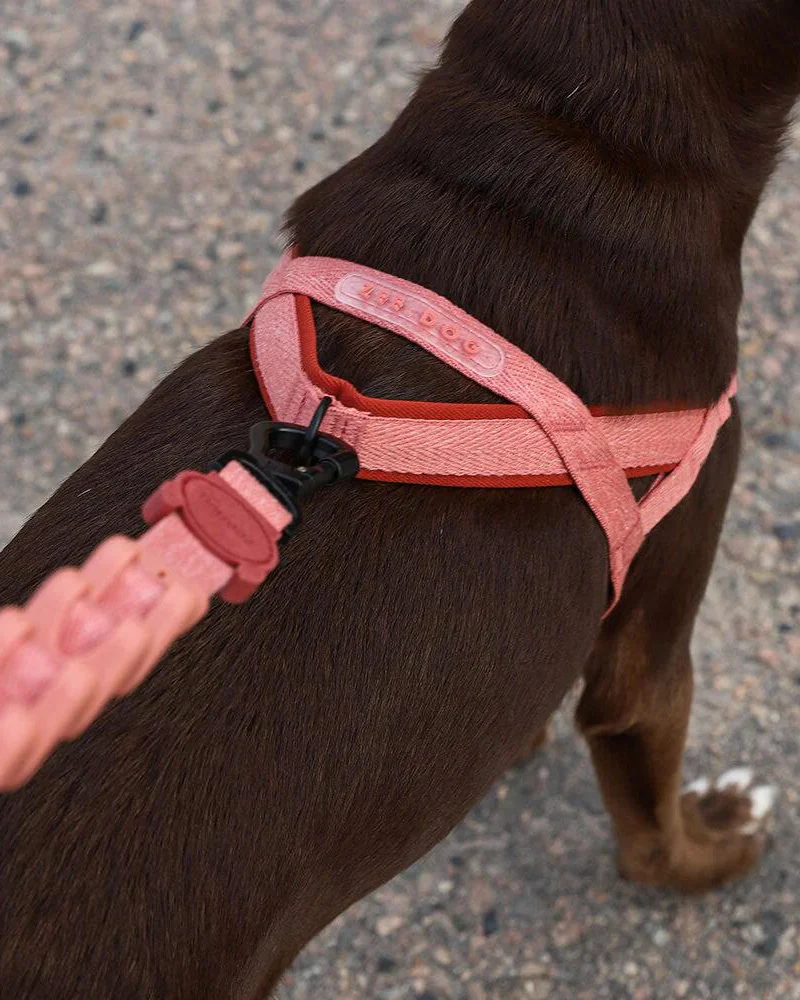SofterWalk No-Pull Dog Harness in Canyon (FINAL SALE) - Image 3