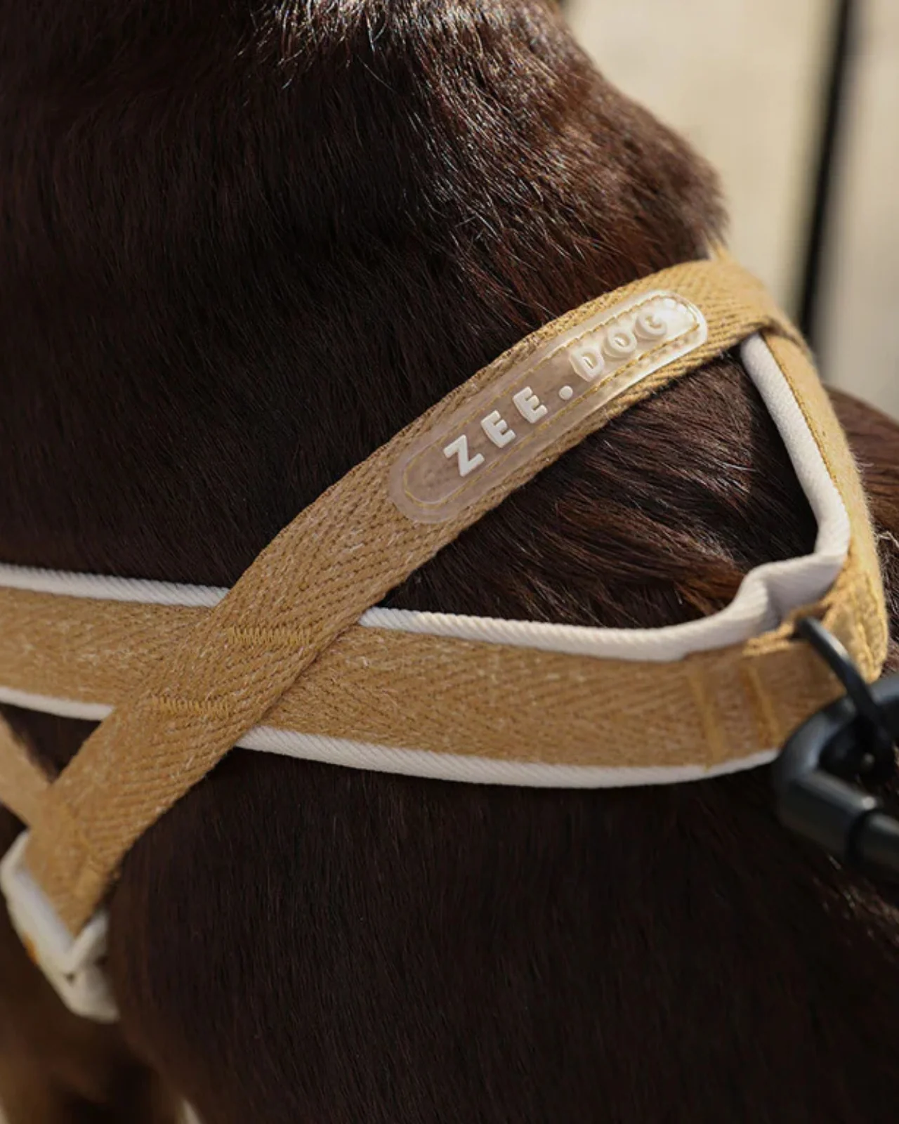 SofterWalk No-Pull Dog Harness in Dune (FINAL SALE) - Image 3