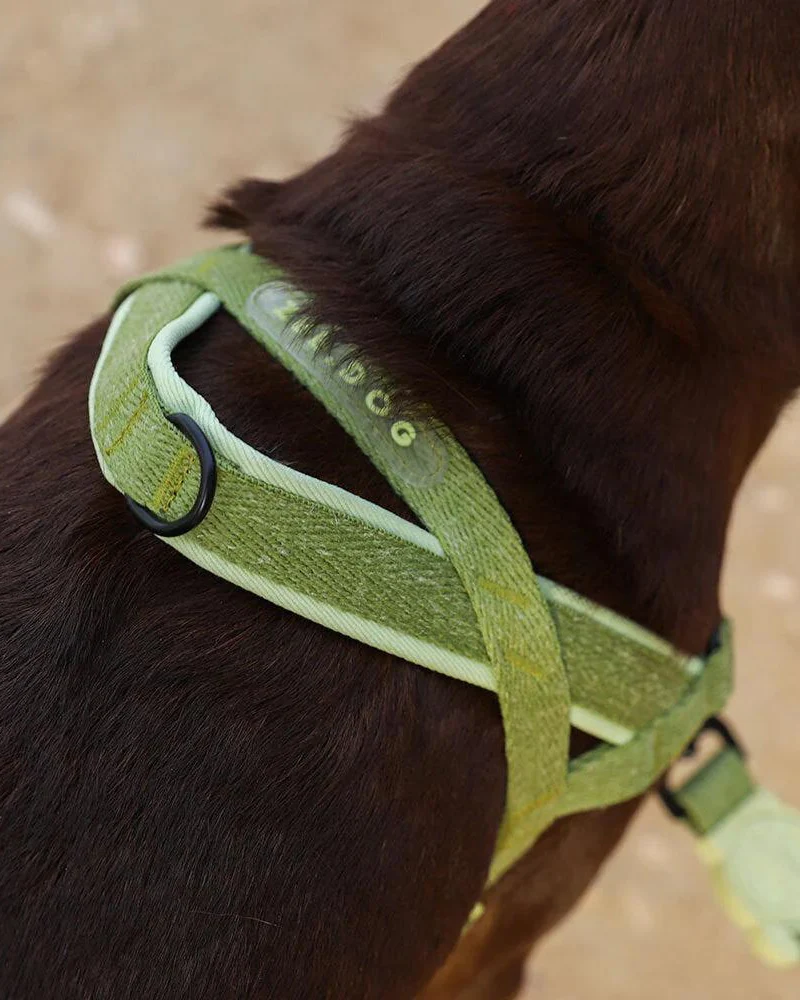 SofterWalk No-Pull Dog Harness in Moss (FINAL SALE) - Image 3