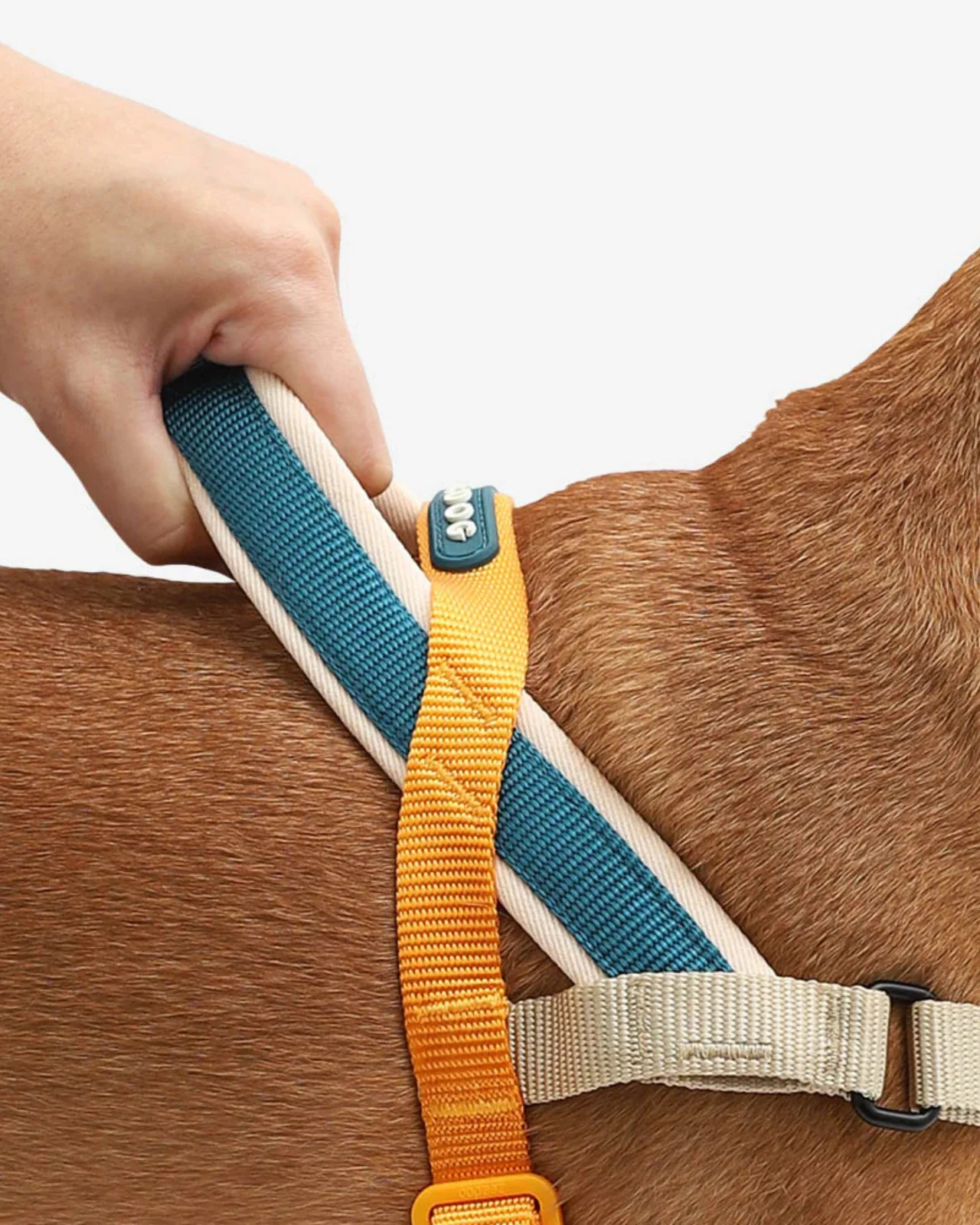 SofterWalk No-Pull Dog Harness in Voyage - Image 2
