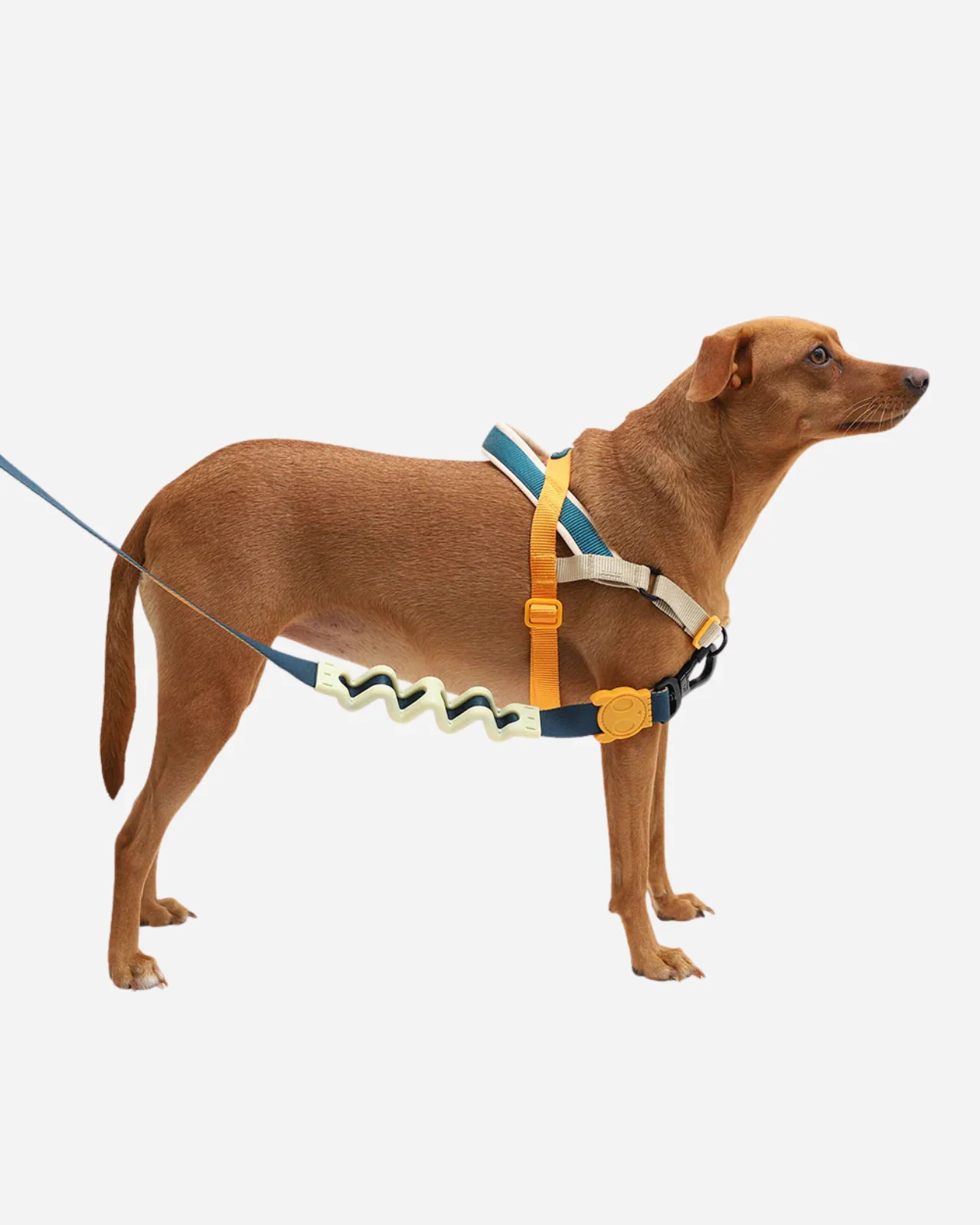 SofterWalk No-Pull Dog Harness in Voyage - Image 4