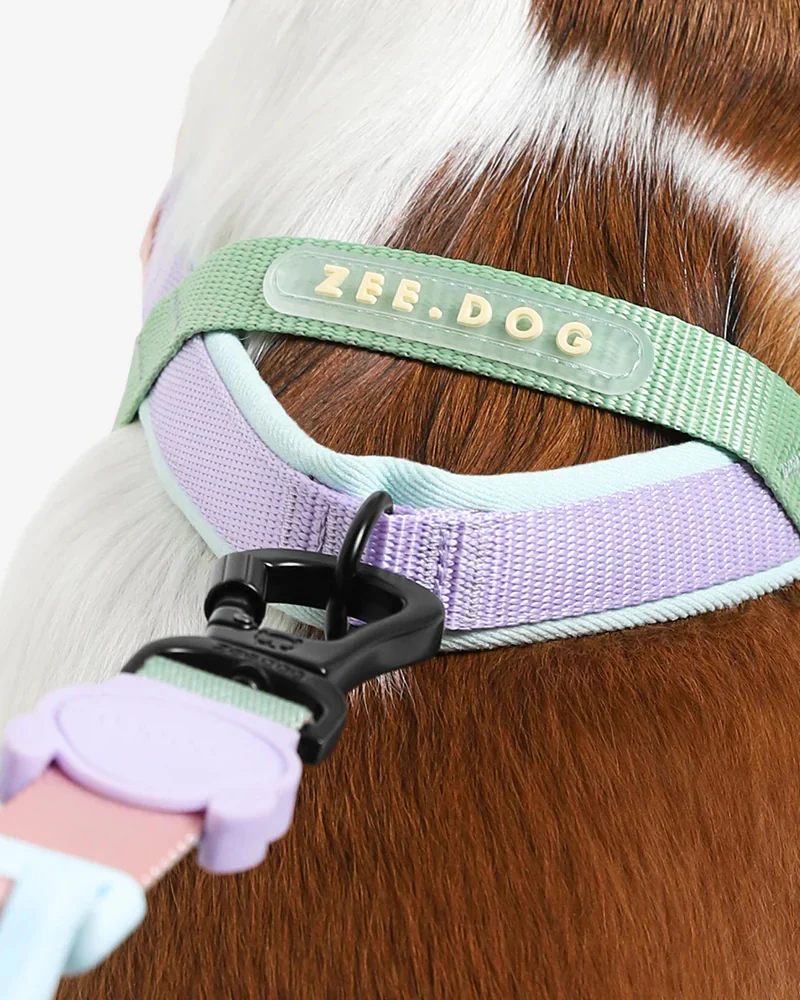 SofterWalk No-Pull Dog Harness in Peach - Image 3