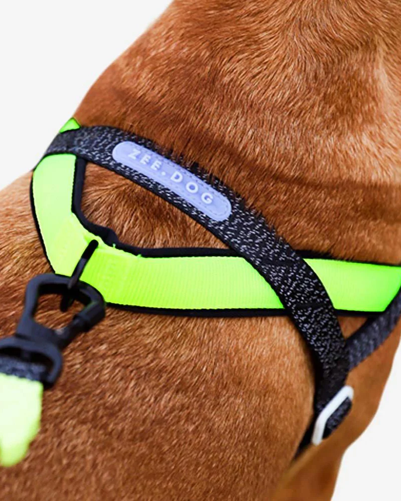 SofterWalk No-Pull Dog Harness in Reflective Nox - Image 3