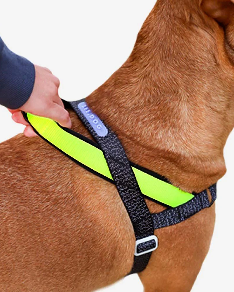 SofterWalk No-Pull Dog Harness in Reflective Nox - Image 4