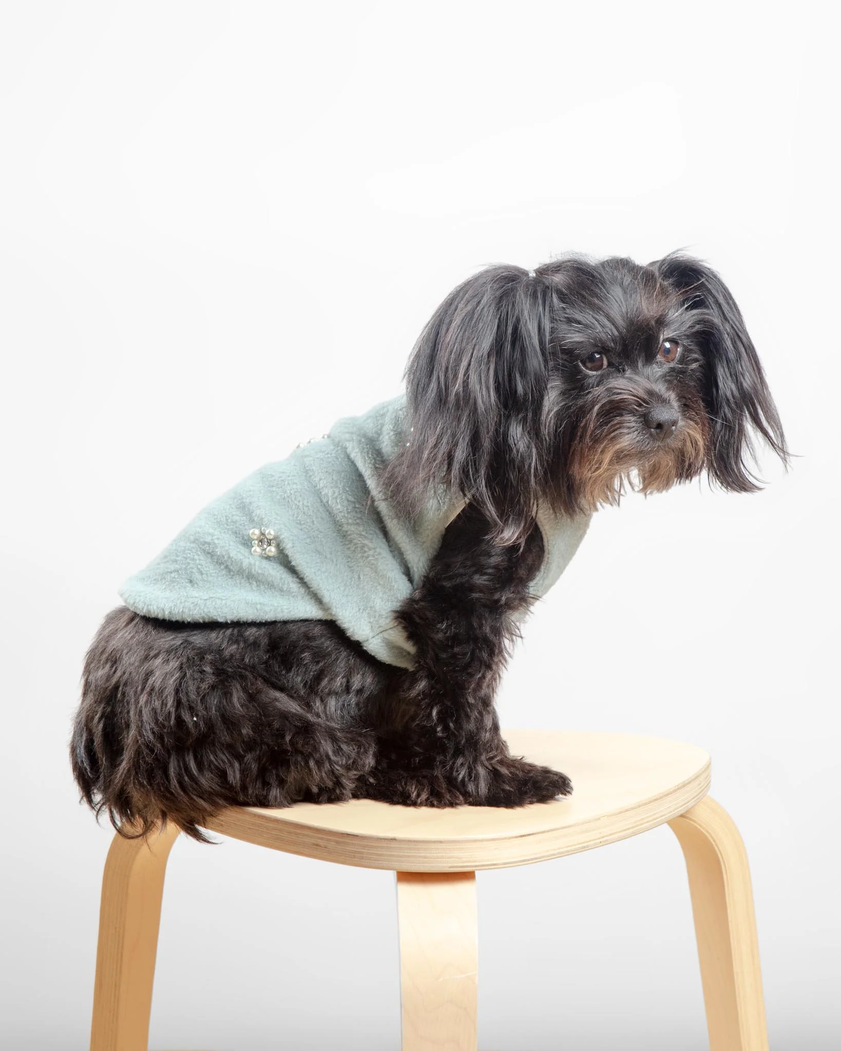 Embellished Fur Dog Vest in Soft Green (FINAL SALE) - Image 3