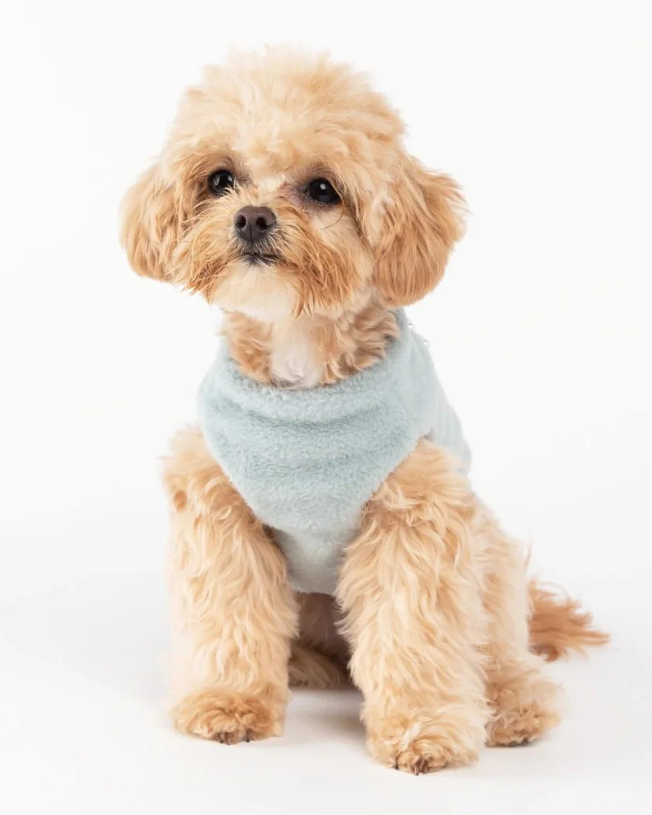 Embellished Fur Dog Vest in Soft Green (FINAL SALE) - Image 8